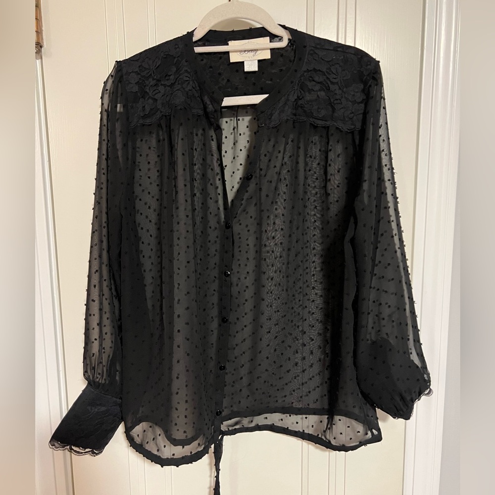 NWOT Beautiful sheer black blouse